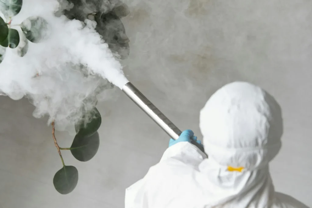 Fumigación express de plagas urbanas en querétaro servicio 24 h